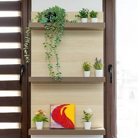 Daire Bucur Bükreş